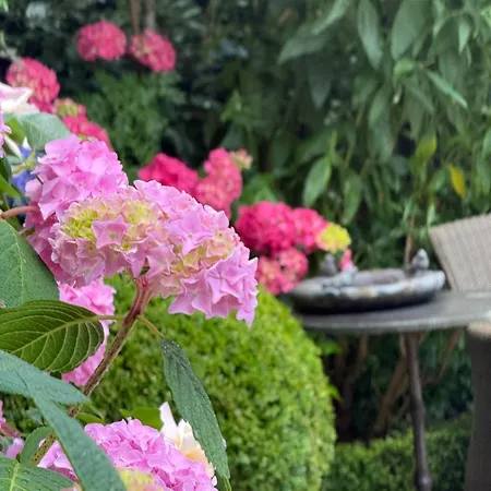 Cozy Boutique B&B De Roos&Garden Lounge-2